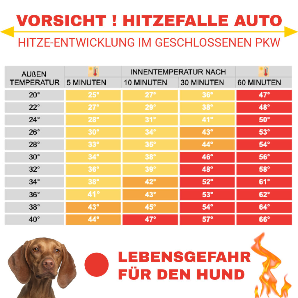 Hitzeentwicklung im Auto – Eine unterschätzte Gefahr !